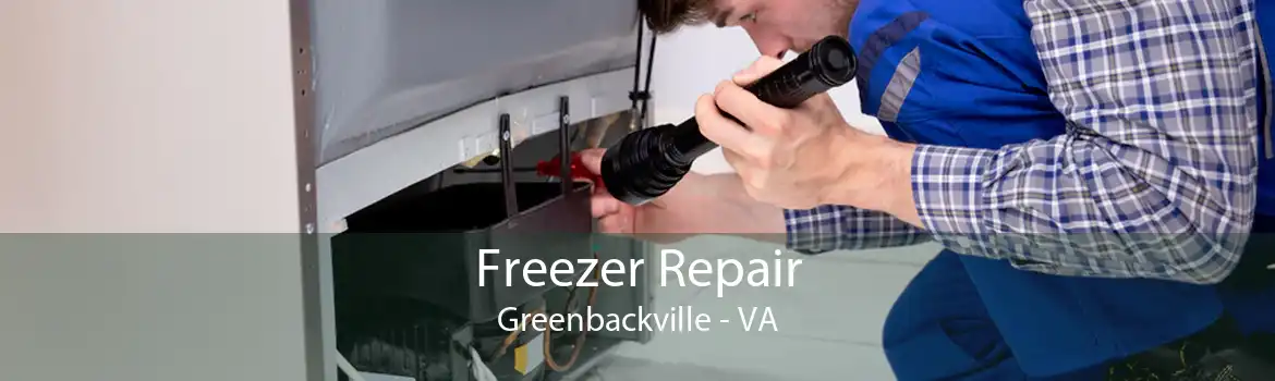 Freezer Repair Greenbackville - VA