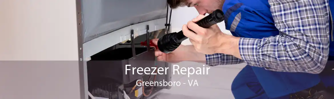 Freezer Repair Greensboro - VA