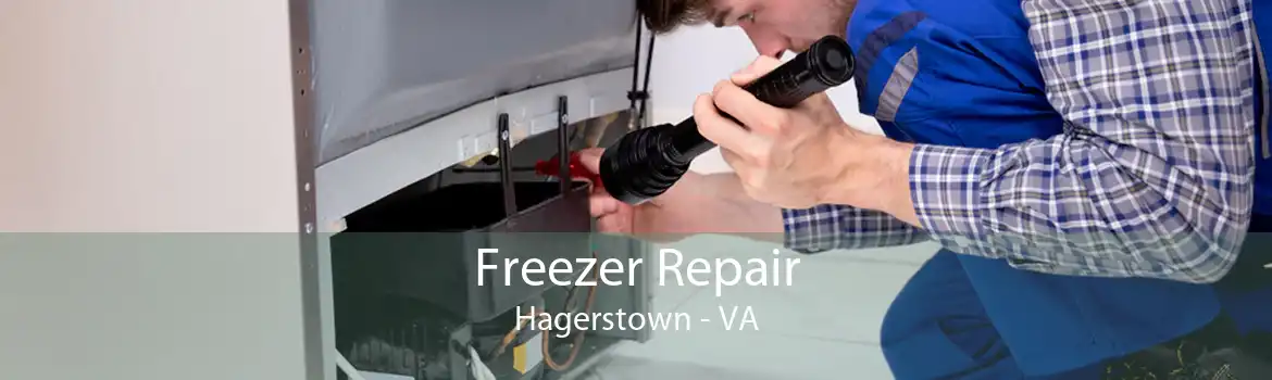 Freezer Repair Hagerstown - VA