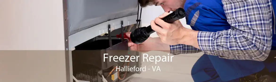 Freezer Repair Hallieford - VA