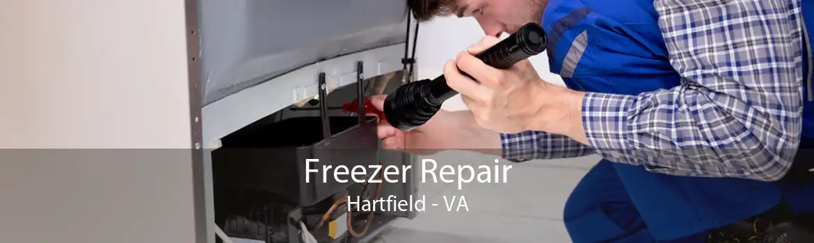 Freezer Repair Hartfield - VA