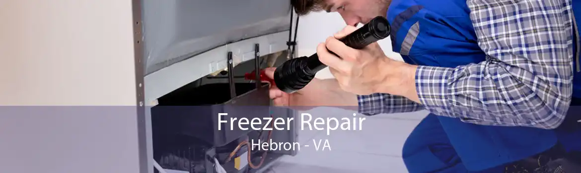 Freezer Repair Hebron - VA