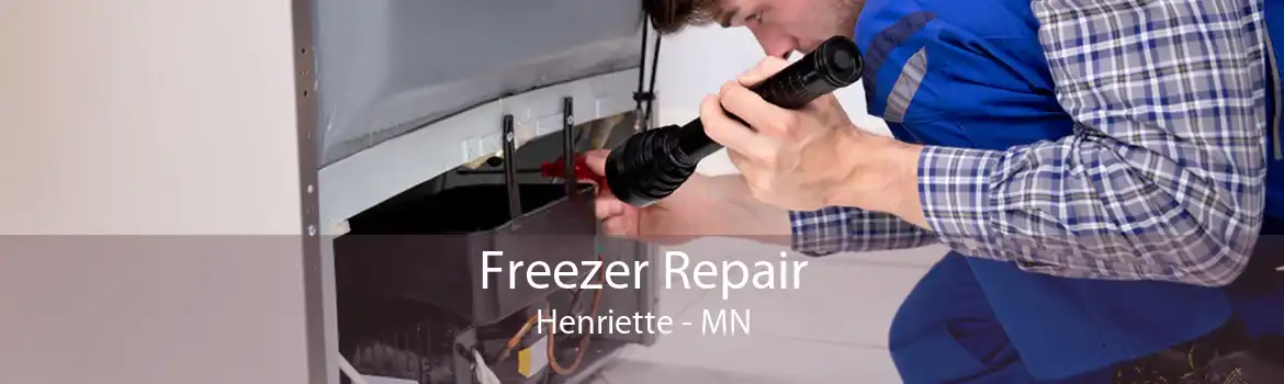 Freezer Repair Henriette - MN