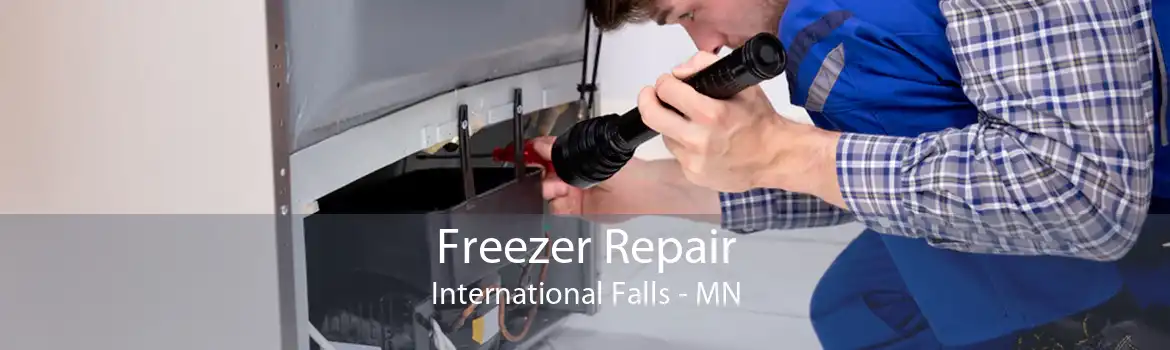 Freezer Repair International Falls - MN