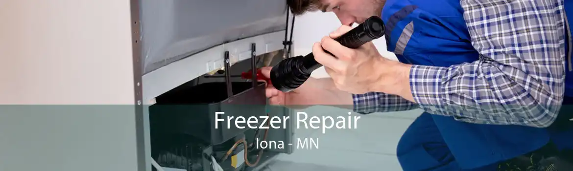 Freezer Repair Iona - MN