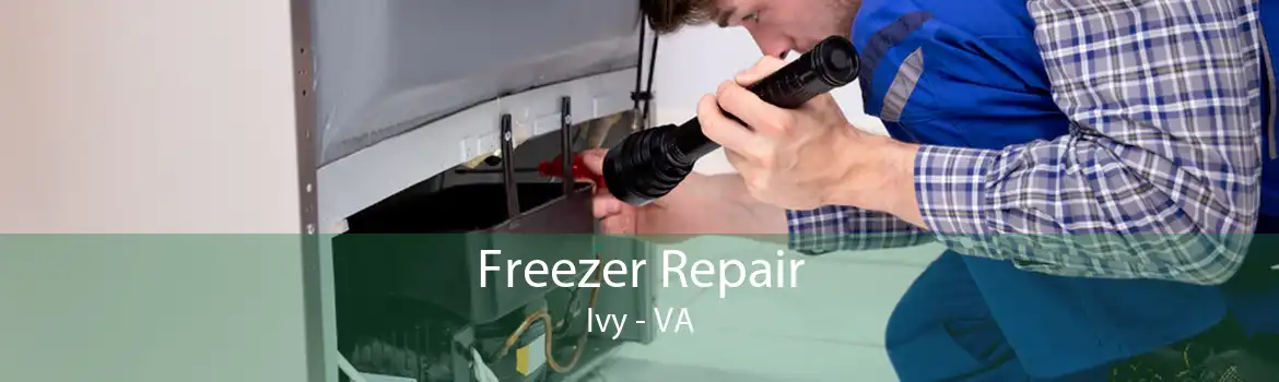 Freezer Repair Ivy - VA