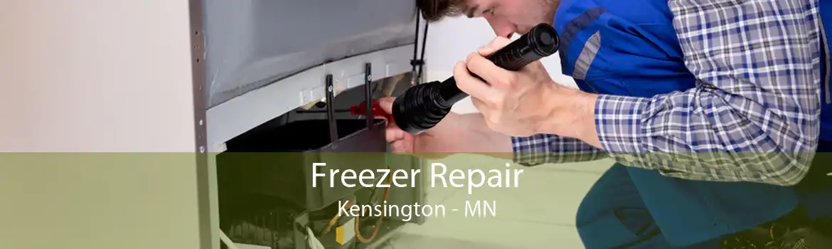 Freezer Repair Kensington - MN