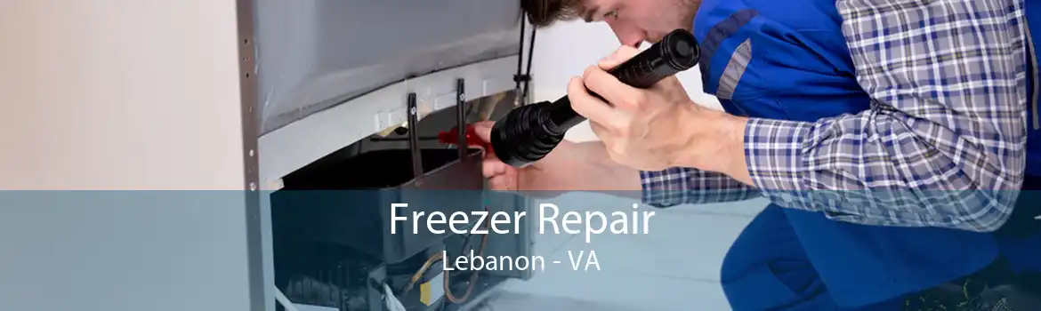 Freezer Repair Lebanon - VA
