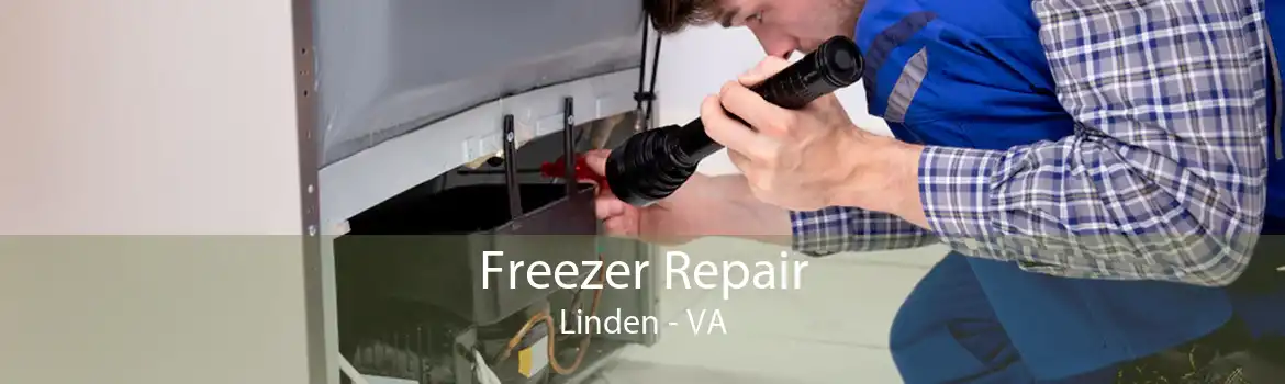 Freezer Repair Linden - VA