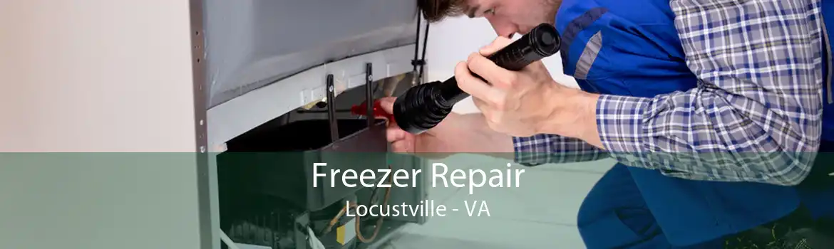 Freezer Repair Locustville - VA