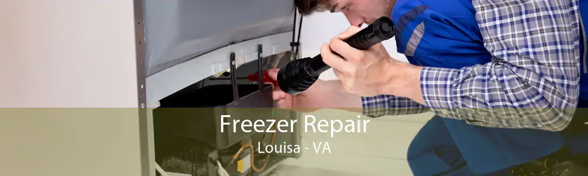 Freezer Repair Louisa - VA