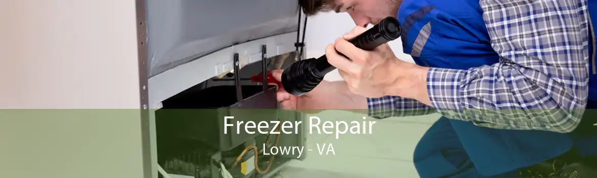 Freezer Repair Lowry - VA