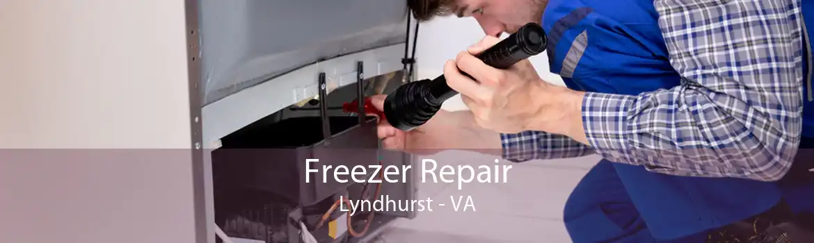 Freezer Repair Lyndhurst - VA