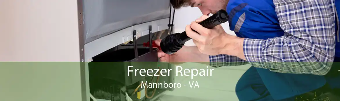 Freezer Repair Mannboro - VA