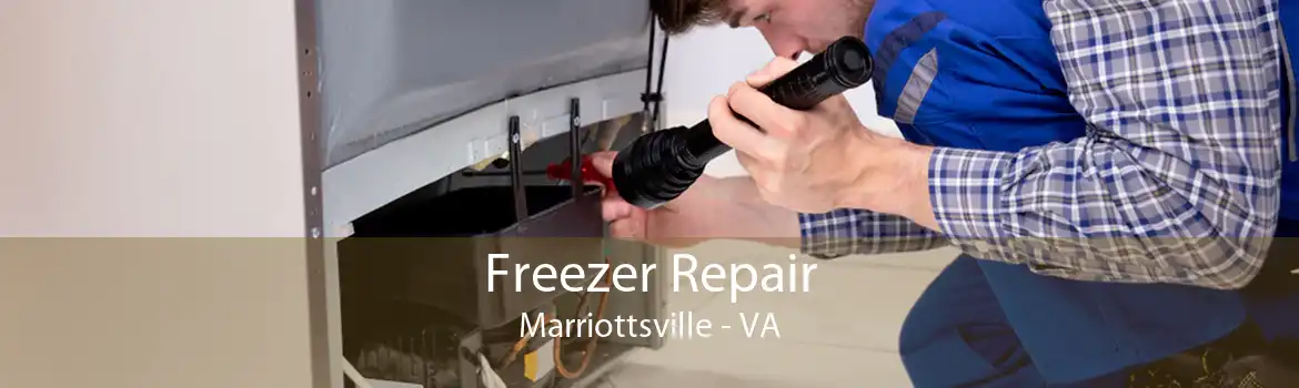 Freezer Repair Marriottsville - VA