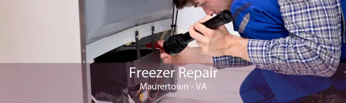 Freezer Repair Maurertown - VA