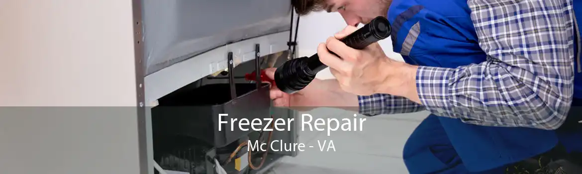 Freezer Repair Mc Clure - VA