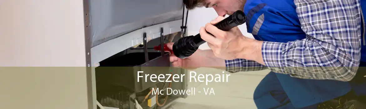 Freezer Repair Mc Dowell - VA