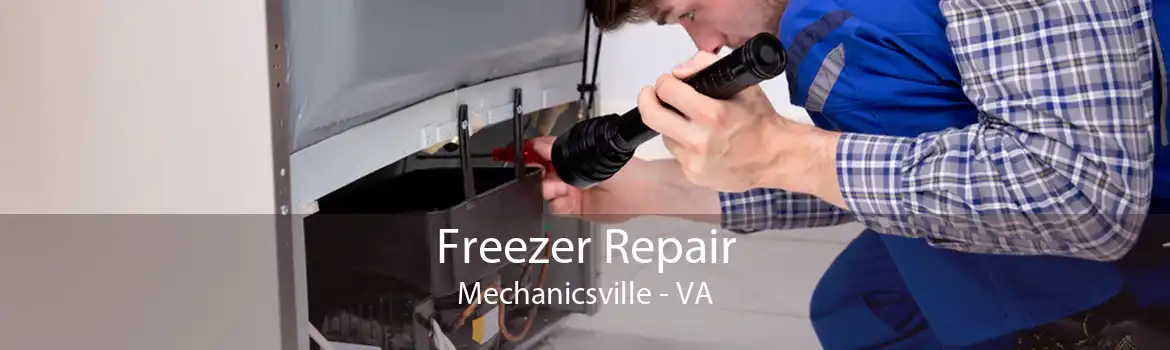 Freezer Repair Mechanicsville - VA