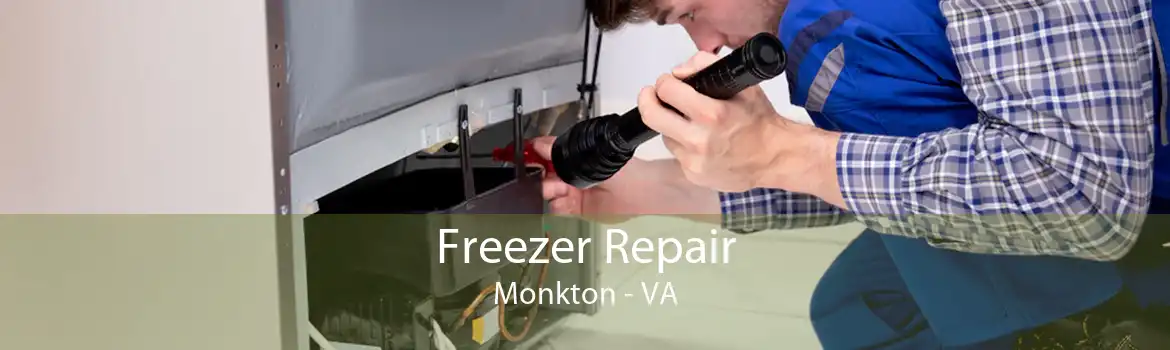 Freezer Repair Monkton - VA