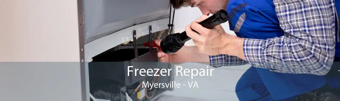 Freezer Repair Myersville - VA