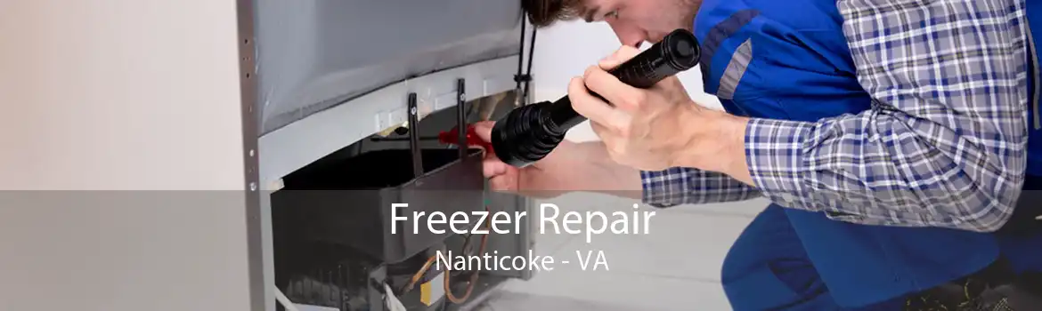 Freezer Repair Nanticoke - VA