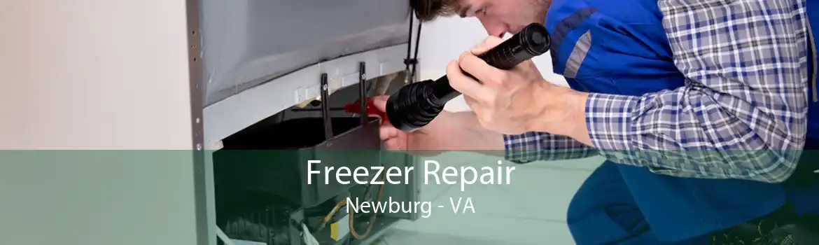 Freezer Repair Newburg - VA