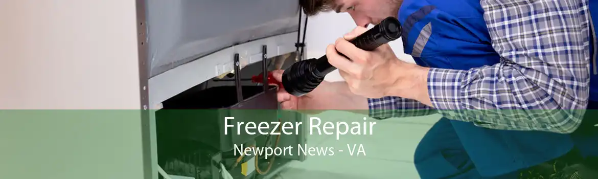 Freezer Repair Newport News - VA