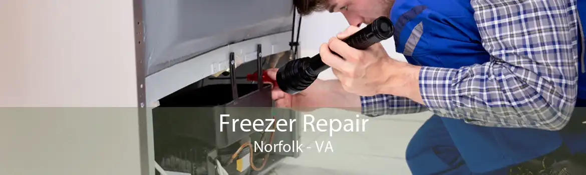 Freezer Repair Norfolk - VA