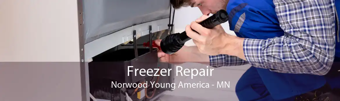 Freezer Repair Norwood Young America - MN