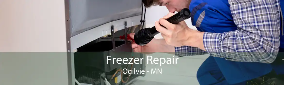 Freezer Repair Ogilvie - MN