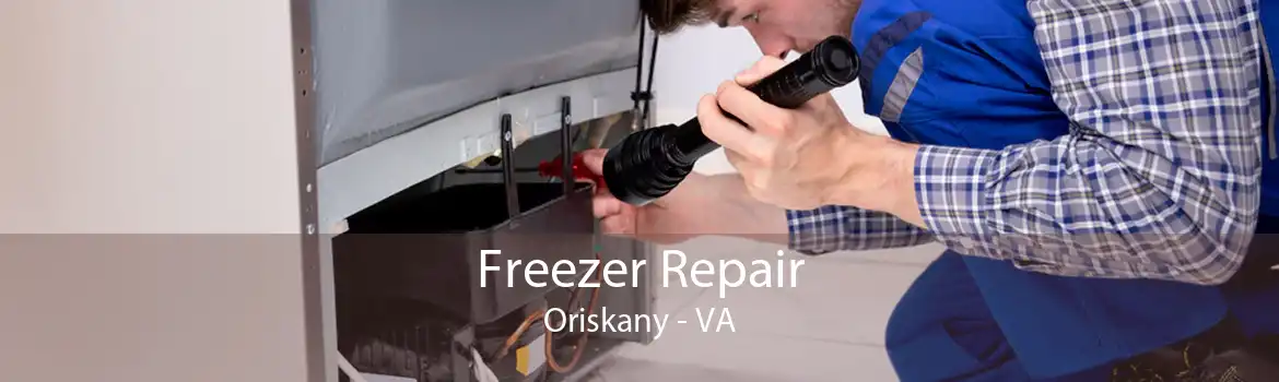 Freezer Repair Oriskany - VA