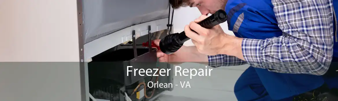 Freezer Repair Orlean - VA