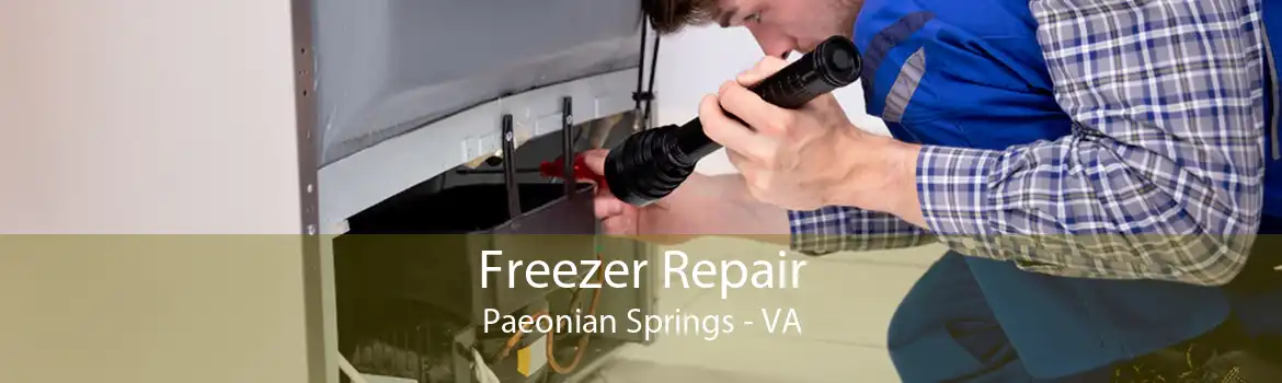 Freezer Repair Paeonian Springs - VA