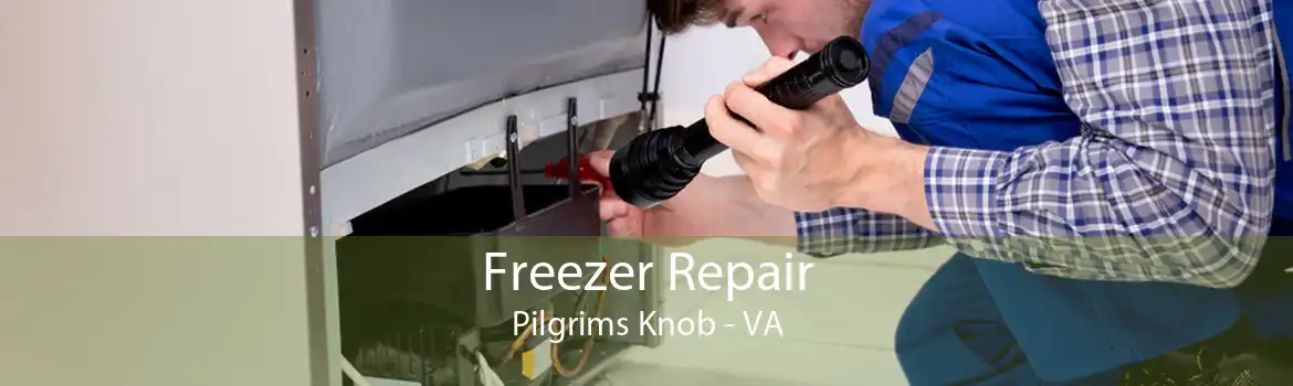Freezer Repair Pilgrims Knob - VA