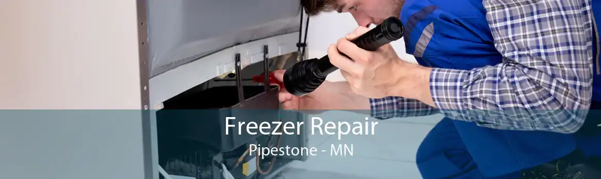 Freezer Repair Pipestone - MN