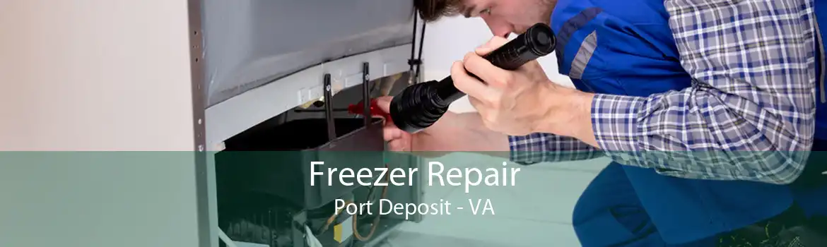 Freezer Repair Port Deposit - VA