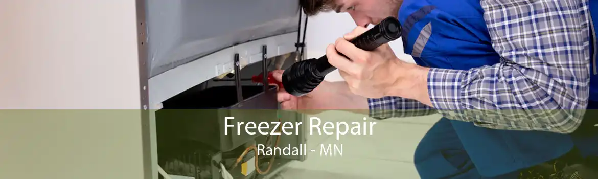 Freezer Repair Randall - MN