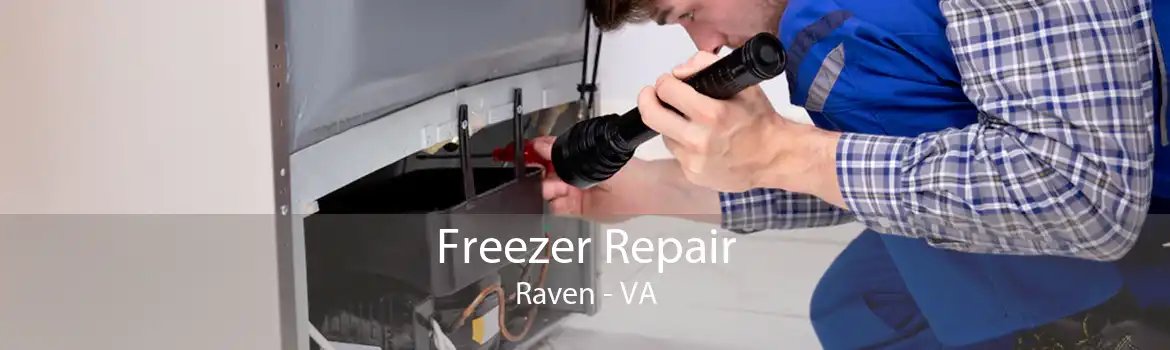 Freezer Repair Raven - VA