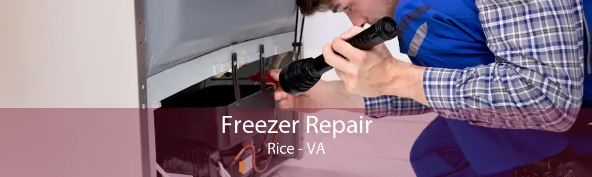Freezer Repair Rice - VA