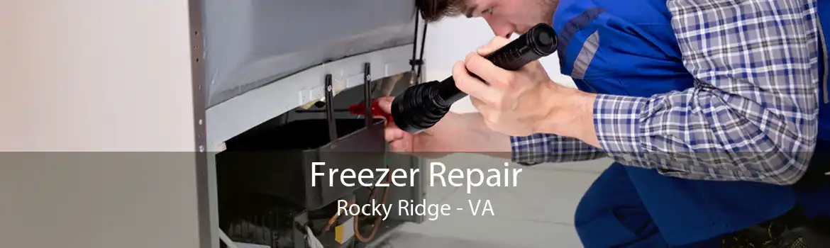 Freezer Repair Rocky Ridge - VA