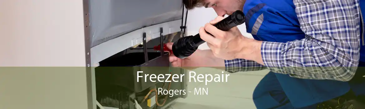 Freezer Repair Rogers - MN