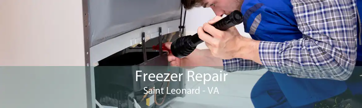 Freezer Repair Saint Leonard - VA