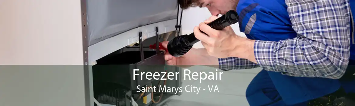 Freezer Repair Saint Marys City - VA