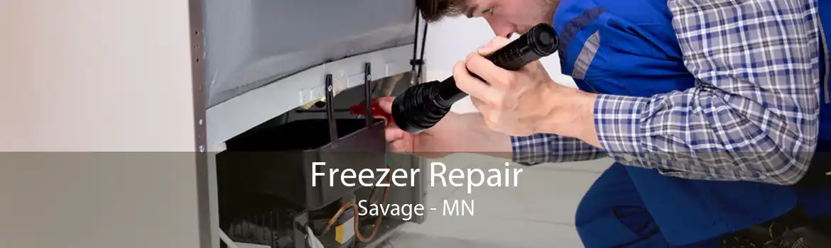 Freezer Repair Savage - MN