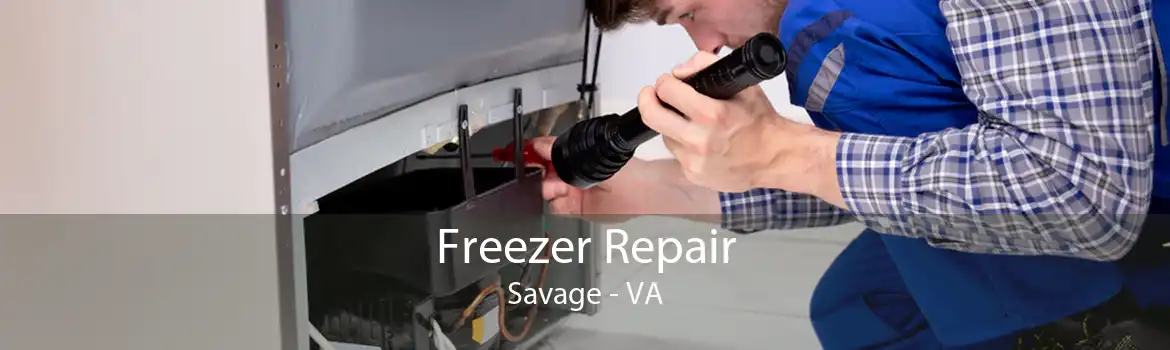 Freezer Repair Savage - VA