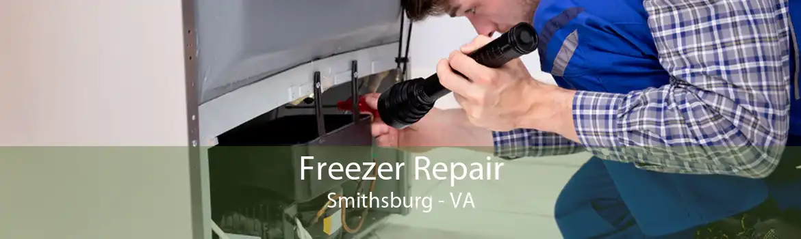 Freezer Repair Smithsburg - VA