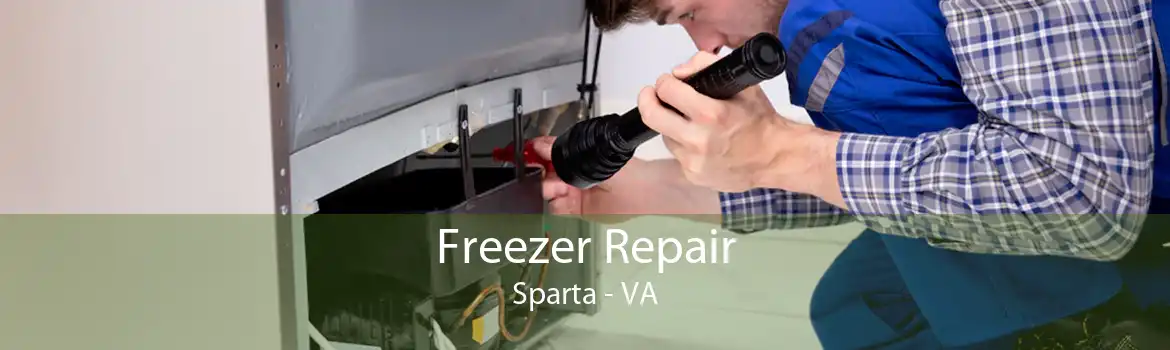 Freezer Repair Sparta - VA