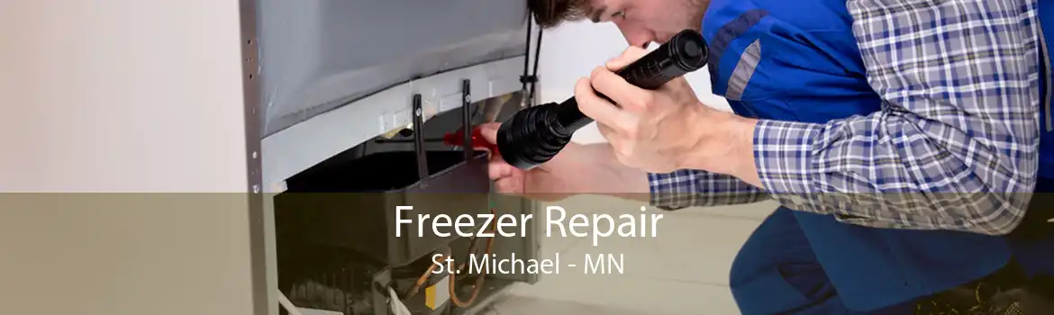 Freezer Repair St. Michael - MN