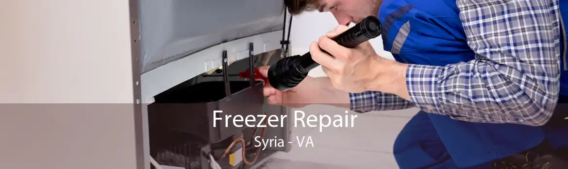 Freezer Repair Syria - VA